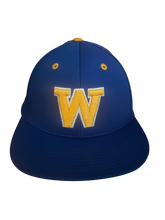 Wizards Embroidey Hat