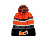 Winter beanie hat