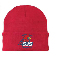 Winter Embroidered Beanie hat